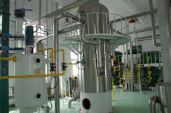 Cooking Oil Processing