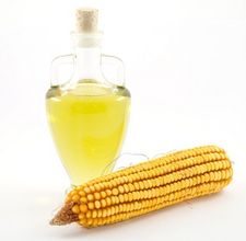 Corn Oil Extraction