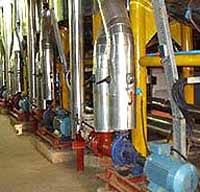 cooking oil production