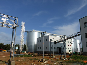 Seed Oil Extraction Plant Over View