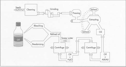 oil manufacturing process