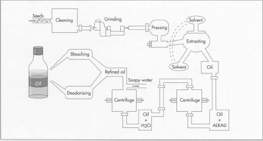 Oilseed Processing Plants