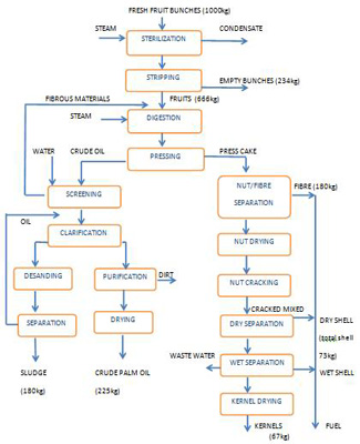 Palm Oil Production