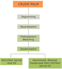 palm oil refining