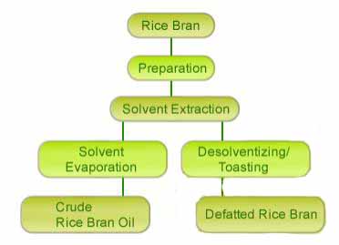 Manufacturing Process of Rice Bran Oil