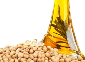 Soybean Oil Processing
