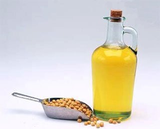 soybean oil plant