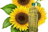 Sunflower Oil Factory