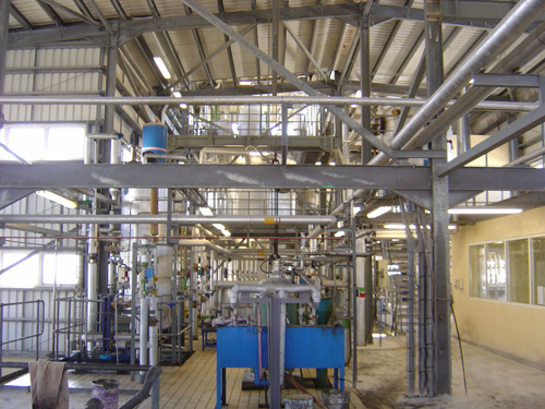 Vegetable Oil Factory