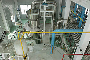 palm oil manufacturing process plant