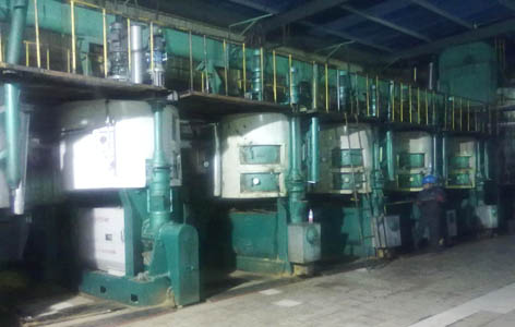 castor seed oil processing