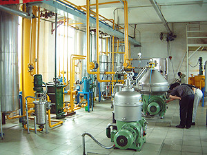 corn oil plant