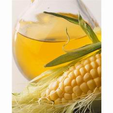  corn oil processing