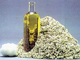 cottonseed oil recovering and refining line