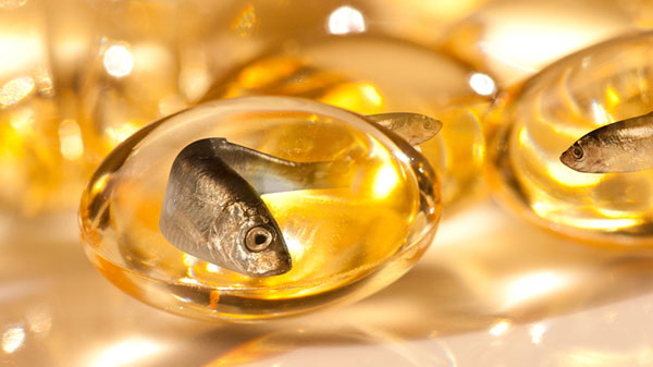 fish oil refining