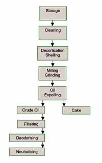 groundnut oil manufacturing process