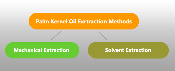 ways of extracting palm kernel oil