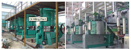 cooking oil manufacturing plant