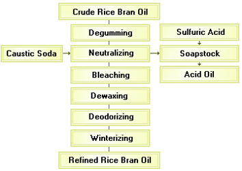 rice bran oil extraction and refining plant