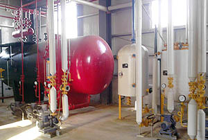 Solvent Extraction Plants for Palm Oil