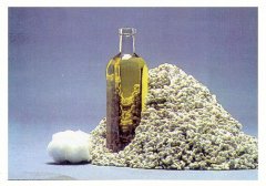Cottonseed Oil Processing