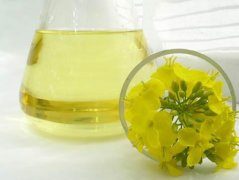 Canola Oil Processing