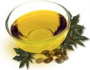 Castor Oil Processing