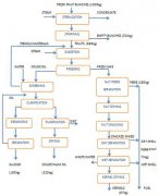 palm oil production