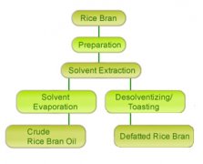 rice bran oil extraction and refining plant