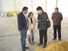 Customer from UK about Corn Oil Production Plant