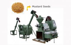 mustard seed oil extraction plant