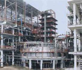 Edible Oil Refining Plant