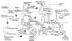 palm oil solvent extraction plant