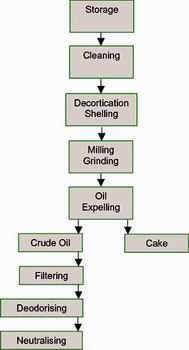 General process of edible oil making