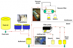 Fractionation Process for Edible Oil