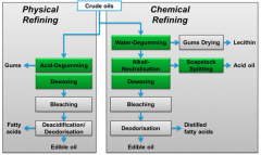 palm oil refinery plant