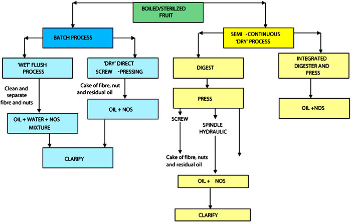 palm oil manufacturing process