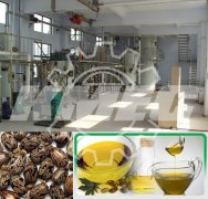 mini castor oil extraction unit