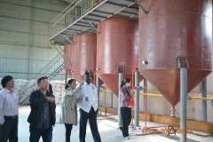 peanut oil processing line